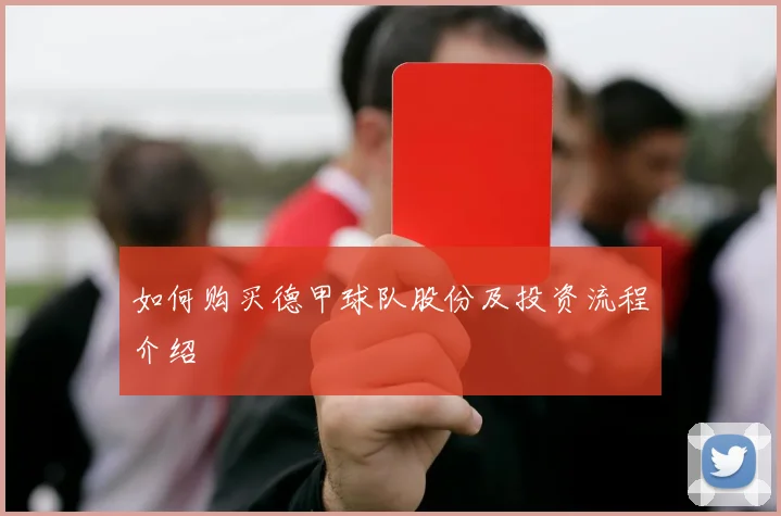 如何购买德甲球队股份及投资流程介绍