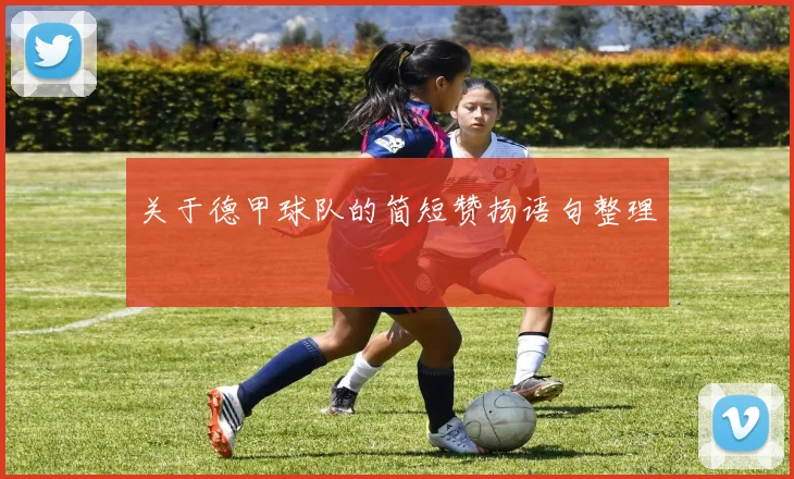 关于德甲球队的简短赞扬语句整理